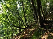 Monte Alben (2019 m) dalla Val Gerona ad anello-29ag22-FOTOGALLERY